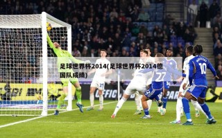 足球世界杯2014(足球世界杯2014德国队成绩)