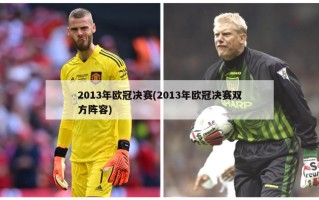 2013年***决赛(2013年***决赛双方阵容)