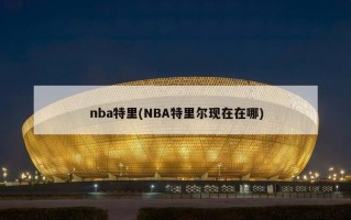 nba特里(NBA特里尔现在在哪)