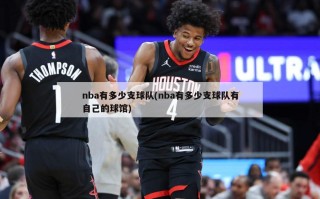 nba有多少支球队(nba有多少支球队有自己的球馆)