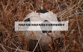 刘伟乒乓球(刘伟乒乓球反手攻教学***教学)